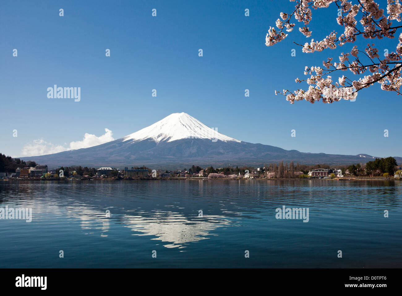 Giappone, Asia, vacanze, viaggi, fiori di ciliegio, Yamaguchi, lago, Fuji, il Monte Fuji, Fujiyama, paesaggio, montagna, neve, molla, v Foto Stock