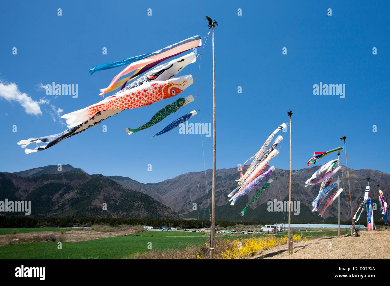 Giappone, Asia, vacanze, viaggi, Koinobori, Bambini Festival, molla, vulcano, giardino, bandiera, carpa, streamer, giapponese Foto Stock