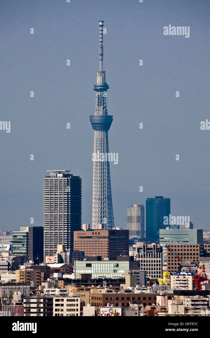 Giappone, Asia, vacanze, viaggi, Tokyo, Città, Sky Tree, Tower skyline, edifici Foto Stock