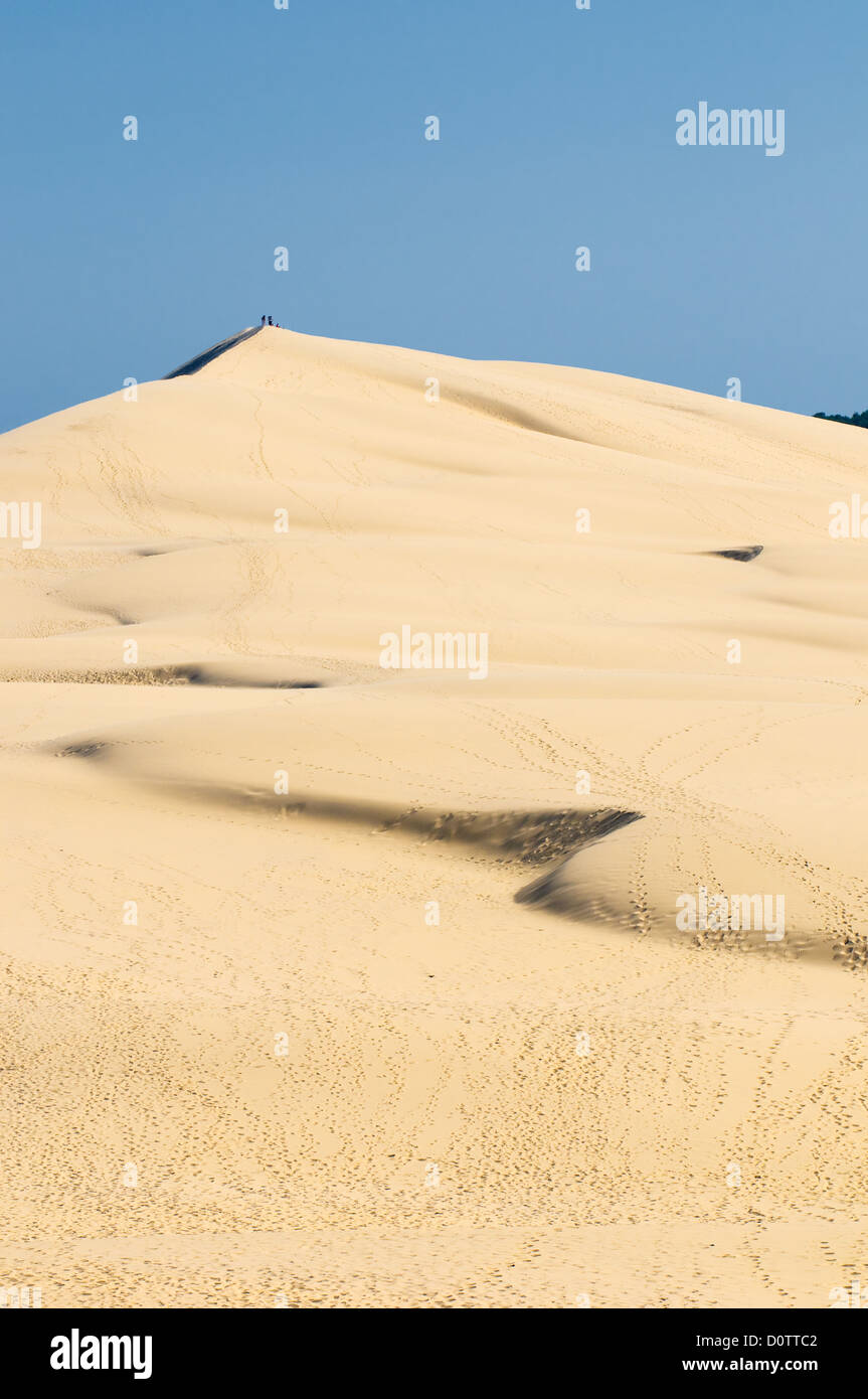 Duna del Pyla, la più grande duna di sabbia in Europa Foto Stock