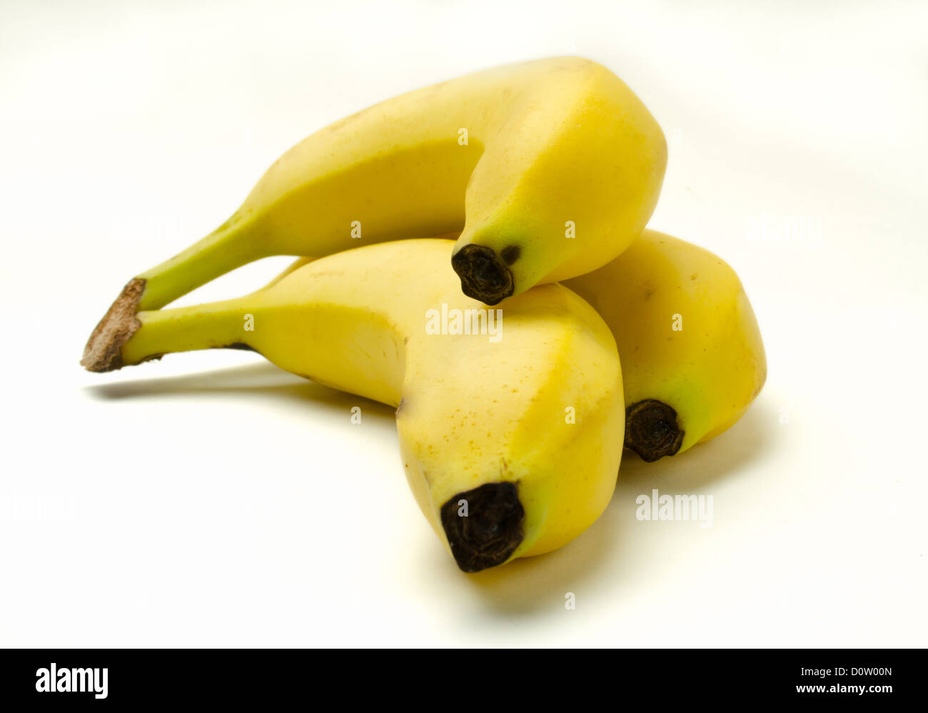 Un mazzetto di 3 banane isolato su sfondo bianco Foto Stock