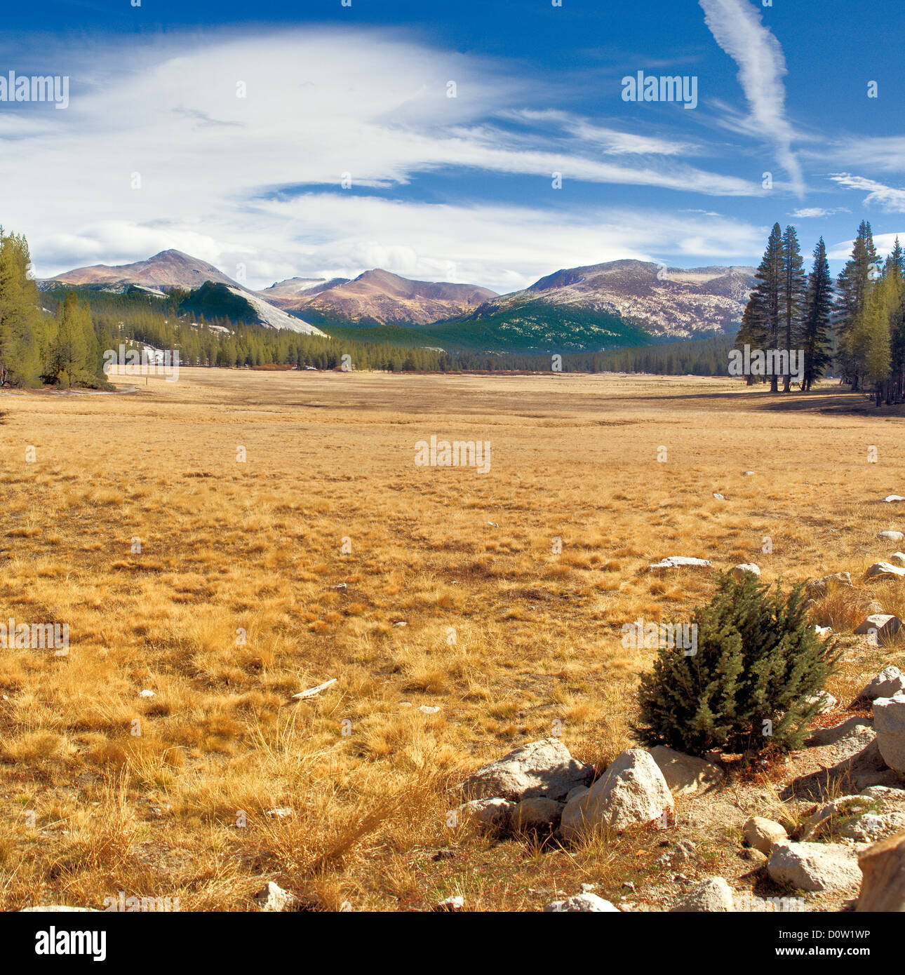 Tuolumne Meadows - Parco Nazionale di Yosemite in California negli Stati Uniti. Immagine ad alta risoluzione. Foto Stock