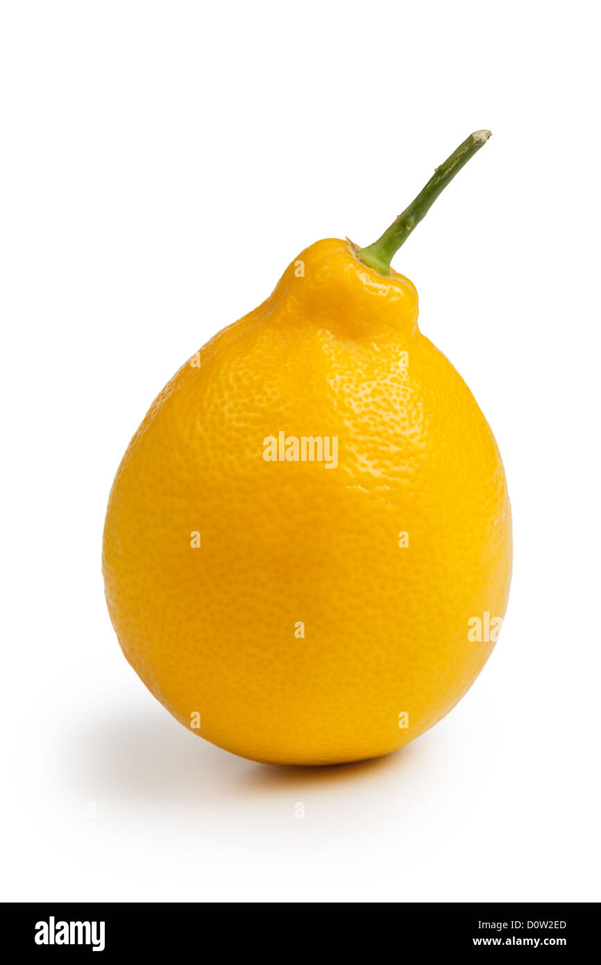 Limone fresco con gambo isolato su sfondo bianco Foto Stock
