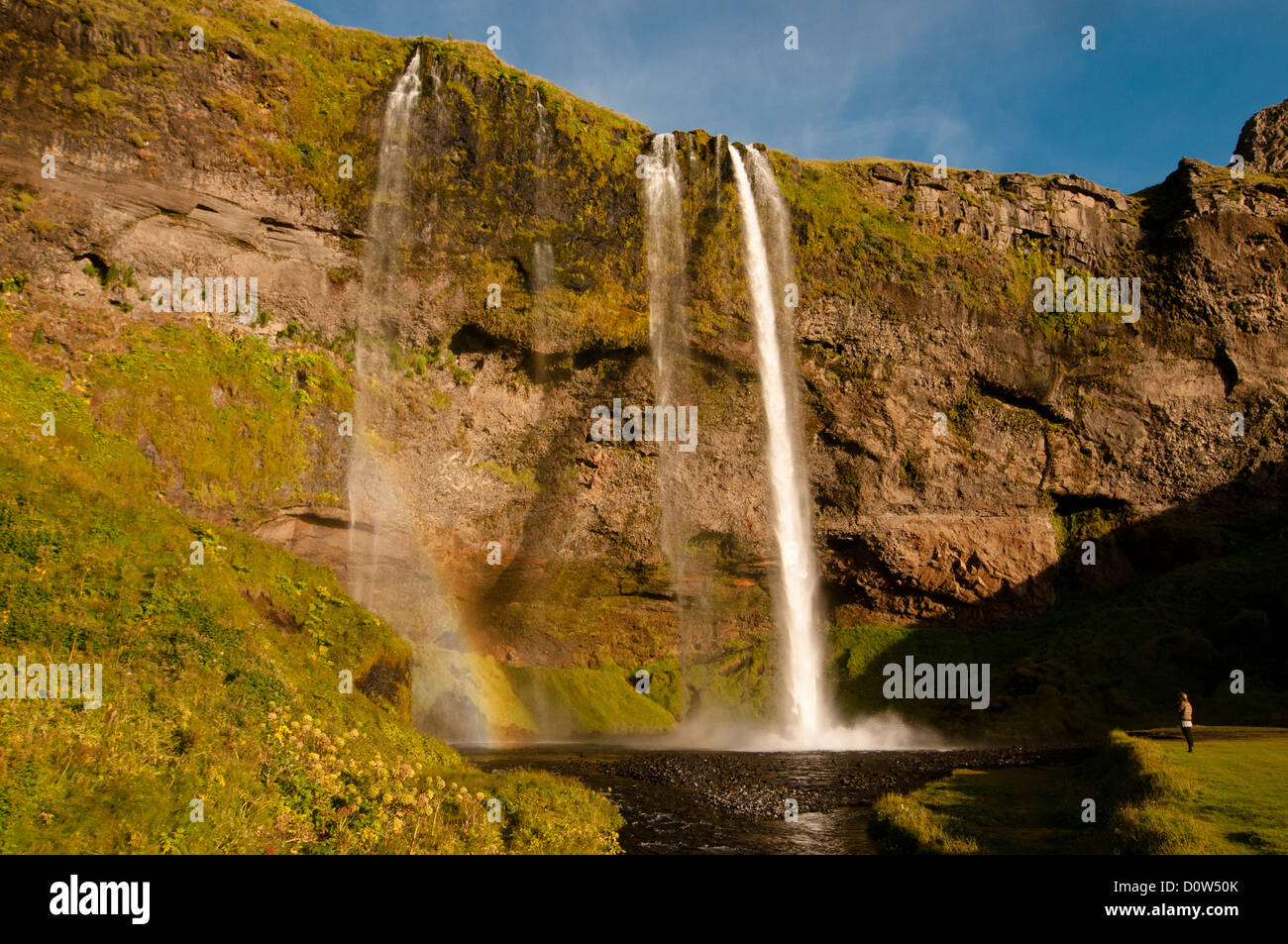 L'Islanda, l'Europa, natura, luogo di interesse storico, Seljalandsfoss, acqua, cascata, islandese Foto Stock