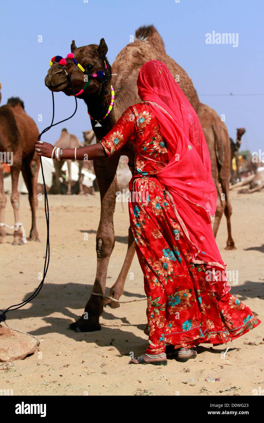 Pushkar fiera,fiera del bestiame,Camel fiera,Herder,Camel ,tradizionalmente,indiana, Turbante,donne,rurale scena,adulto Foto Stock