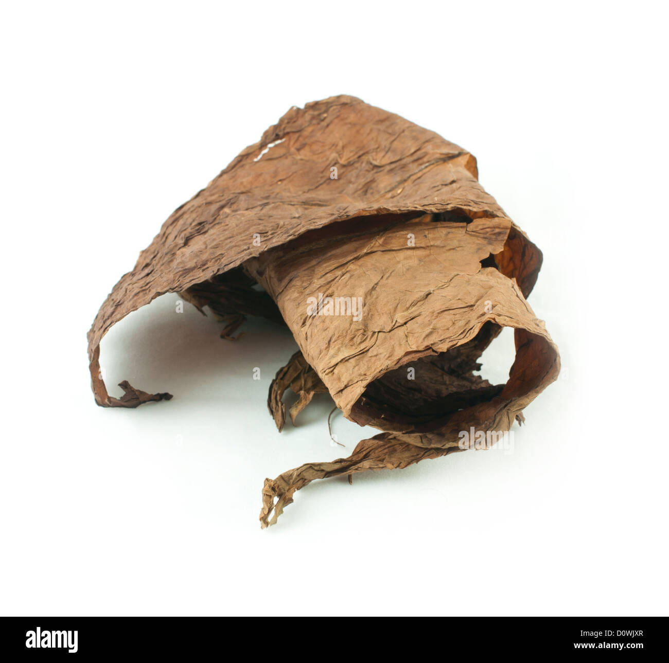 Secchi di foglie di tabacco Isolato bianco. Cubano tabacco invecchiato Foto Stock Secchi di foglie di tabacco Isolato bianco. Cubano tabacco invecchiato Foto Stock