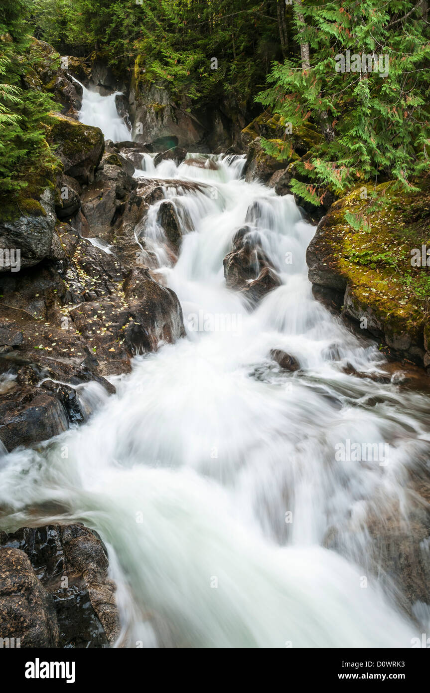 Inganno cade, il Monte Baker-Snoqualmie Foresta Nazionale, Washington. Foto Stock