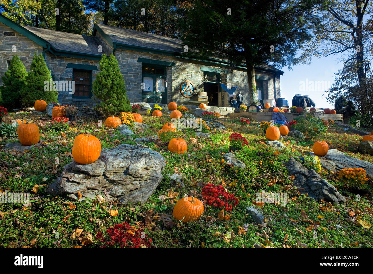 GA00212-00...GEORGIA - Centro Walasi-Yi a Neel Gap lungo l'Appalachian Trail nel Chattaoochee National Forest. Foto Stock