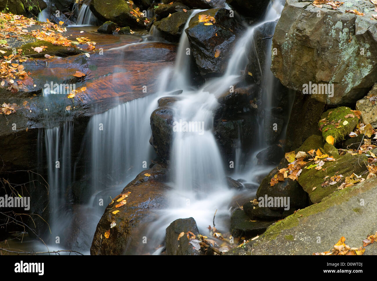 GA00219-00...GEORGIA - Little Creek Amicalola in Amicalola Falls State Park. Foto Stock