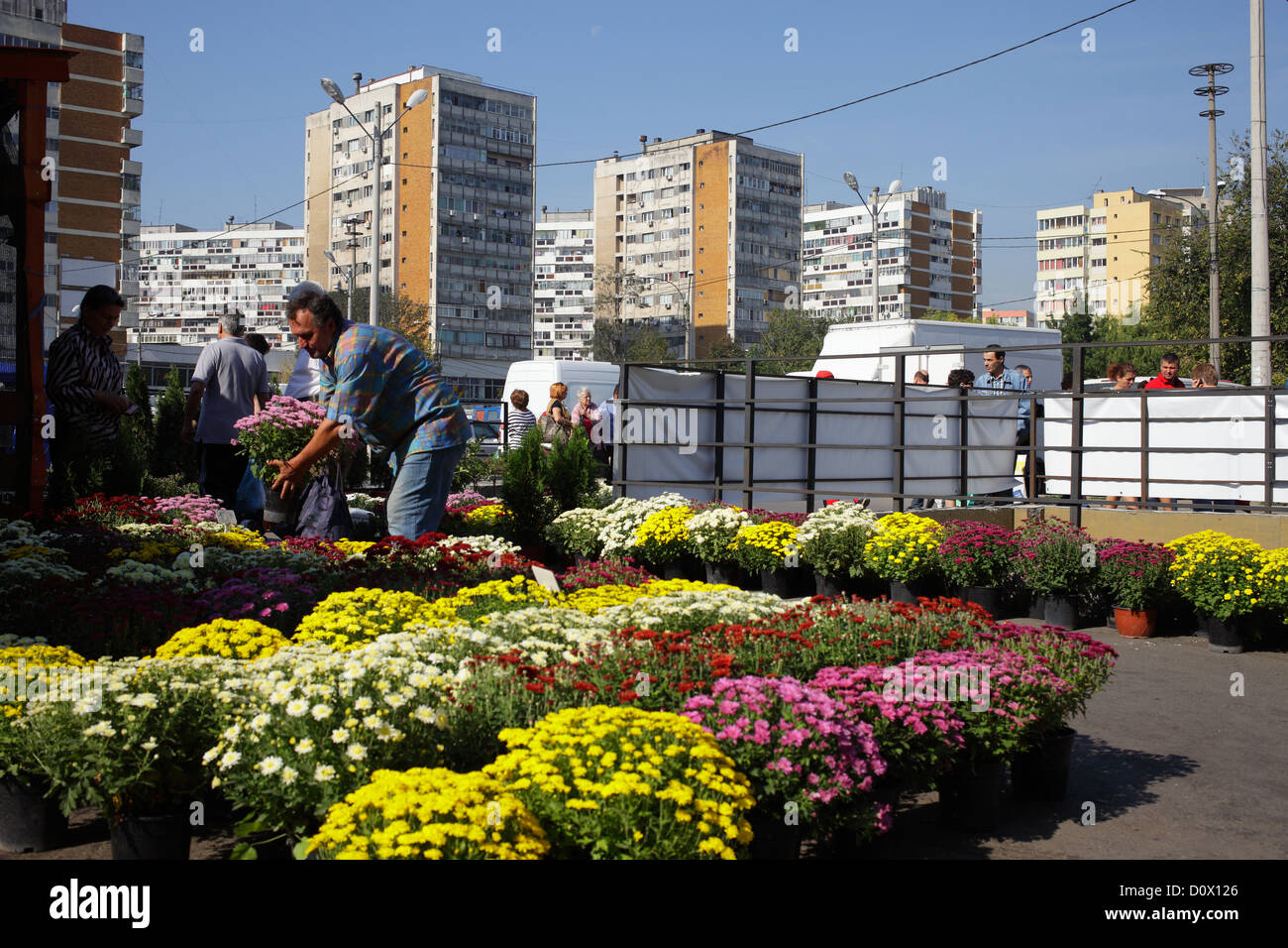 Bucarest, Romania, Blumenhaendler presso un mercato coperto su Piata Obor  Foto stock - Alamy
