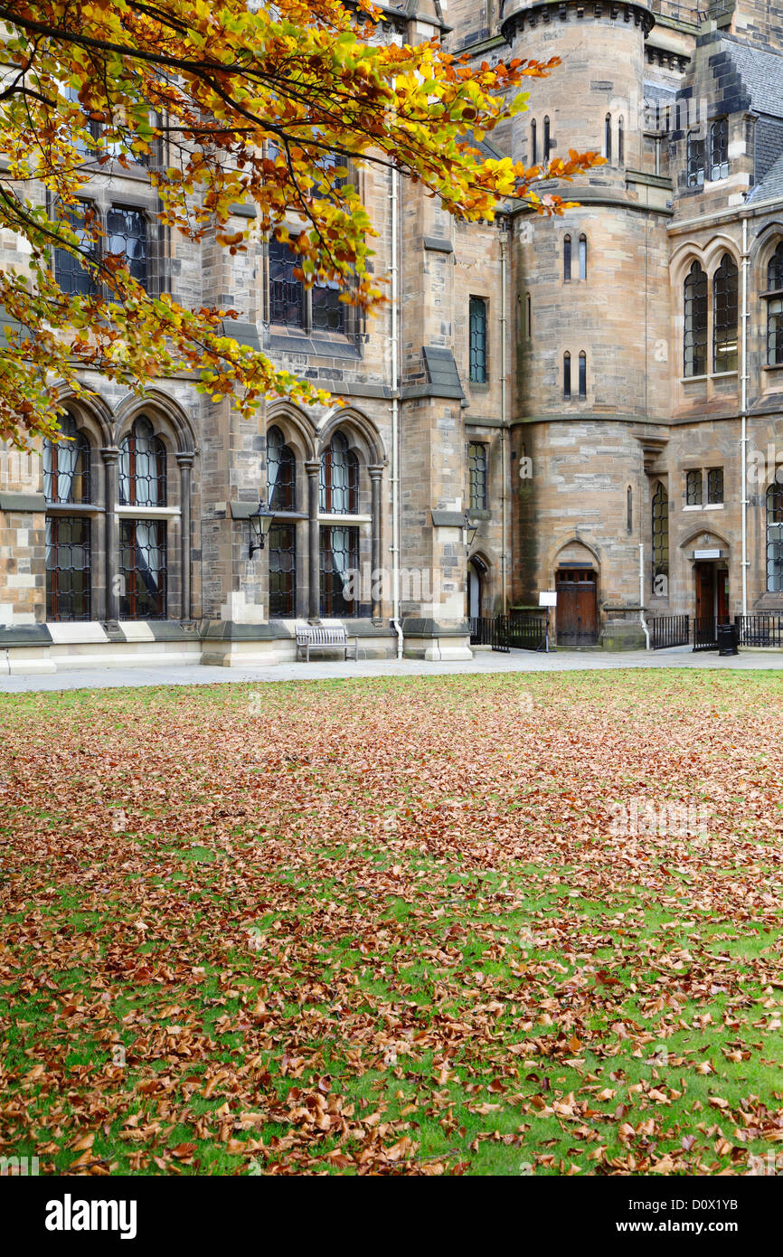 Il quadrangolo est in autunno presso l'Università di Glasgow sul campus Gilmorehill a Glasgow, Scotland, Regno Unito Foto Stock