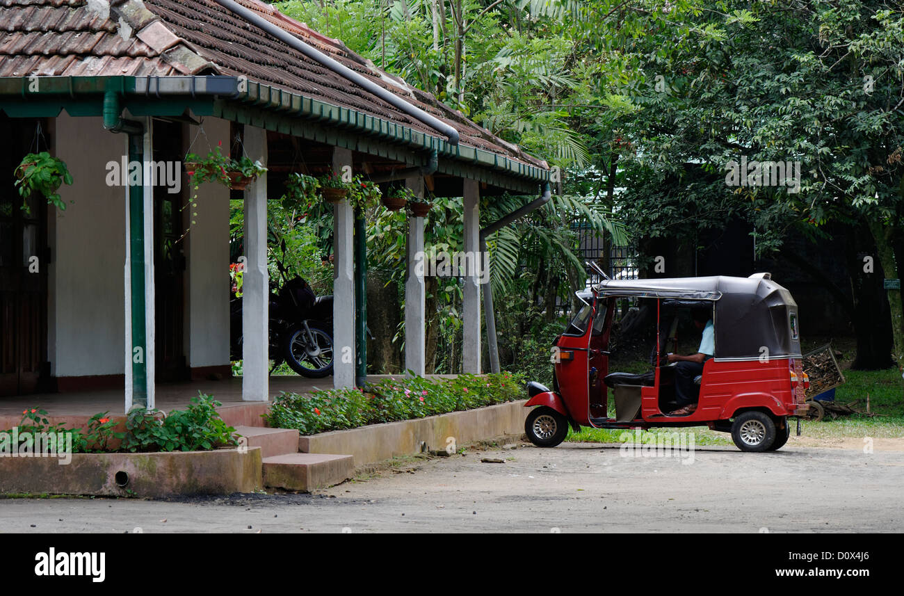 Un Tuk Tuk taxi parcheggiato nei Giardini Botanici, Kandy, Sri Lanka, Asia Foto Stock