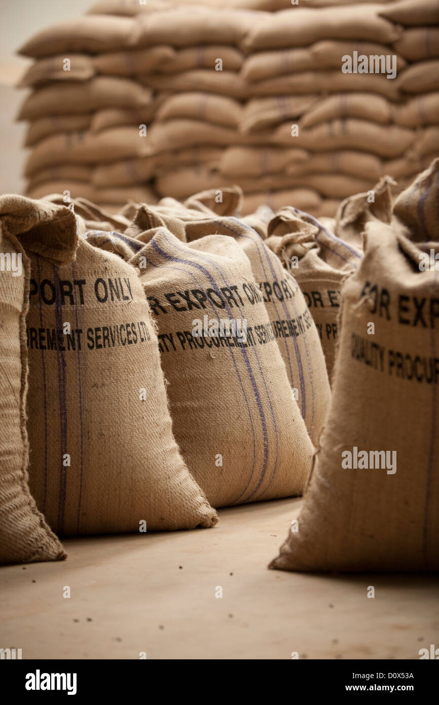 Tazza Verde Con Caffè In Sacchetto Immagine Stock - Immagine Di Tela - Foto 3