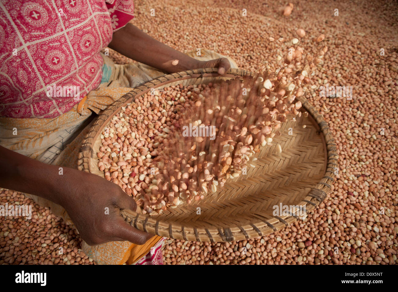 Una donna winnows arachidi in corrispondenza di un magazzino di merci a Dar es Salaam, Tanzania Africa Orientale. Foto Stock
