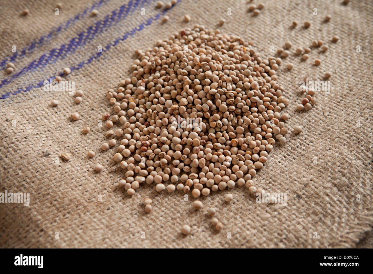 Piselli di piccione (lenticchie o impulsi) in corrispondenza di un magazzino di merci a Dar es Salaam, Tanzania Africa Orientale. Foto Stock