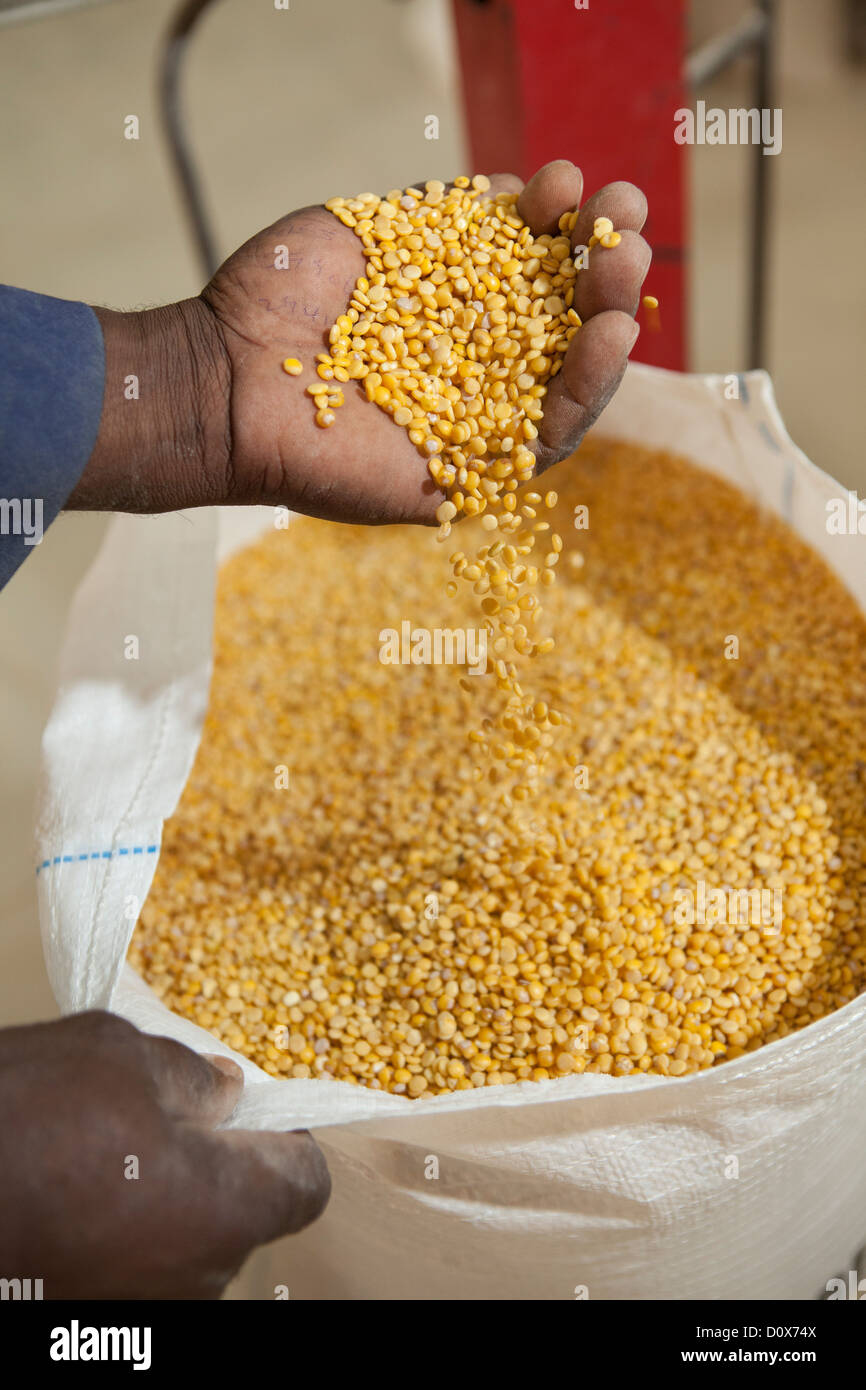 Un lavoratore sacchi dal in corrispondenza di un magazzino merci in Dodoma, Tanzania Africa Orientale. Foto Stock