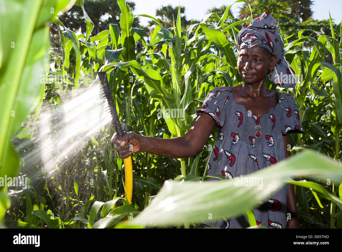 Una donna acque il suo giardino con l aiuto della pompa a pedale di un sistema di irrigazione di Doba, Ciad, Africa. Foto Stock