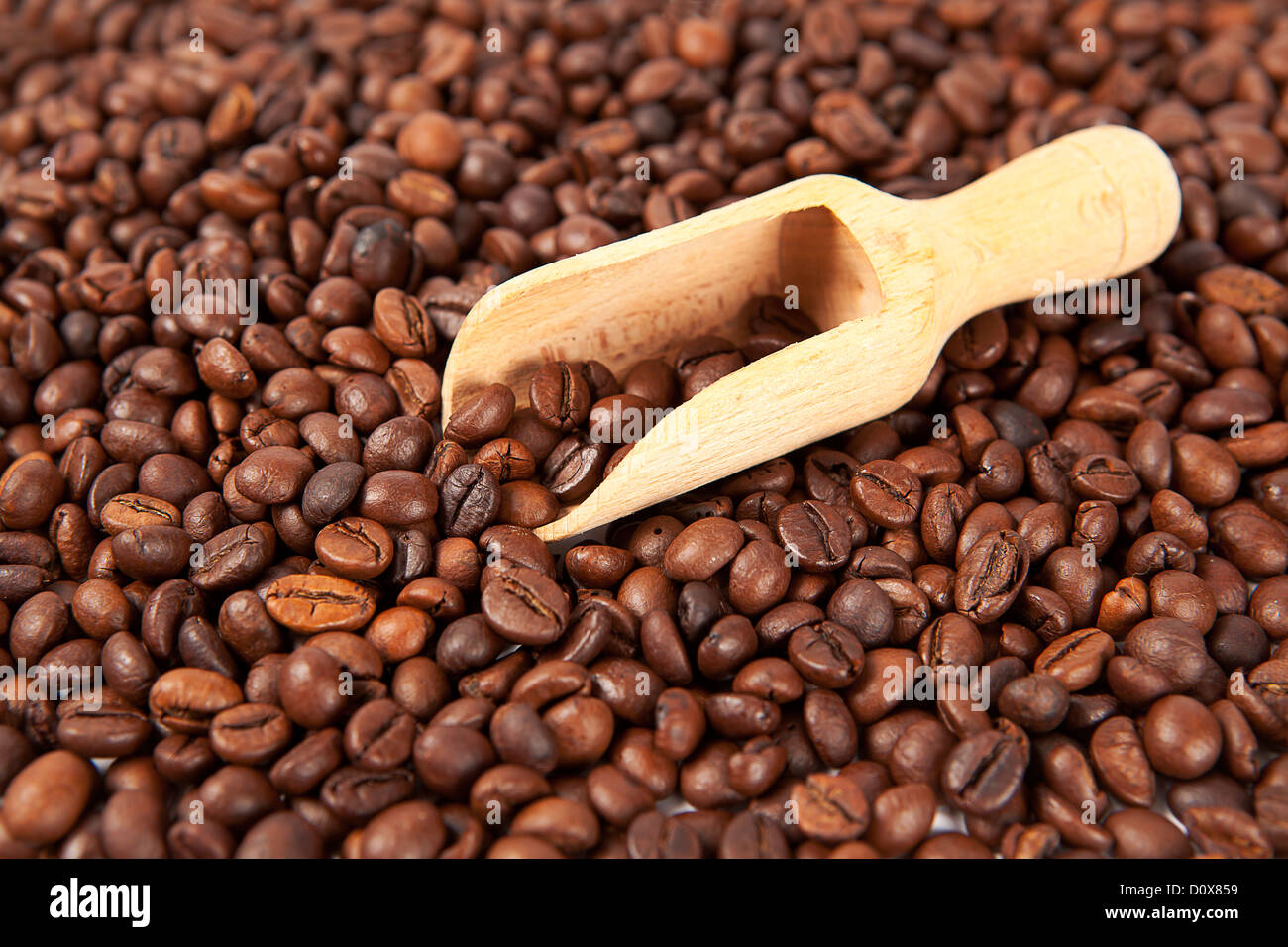 chicchi di caffè Foto Stock chicchi di caffè Foto Stock