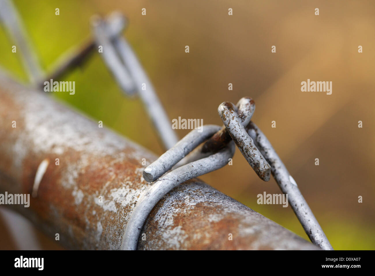 Catena collegamento recinto closeup Foto Stock