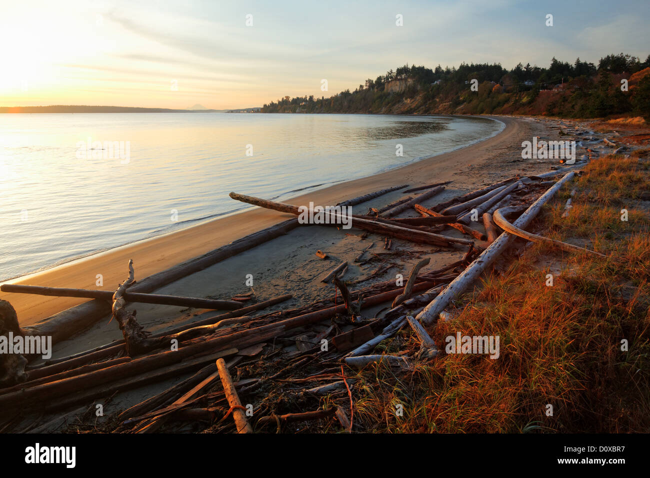 Spiaggia sabbiosa a sunrise, Fort Worden parco statale, Port Townsend, Washington, Stati Uniti d'America Foto Stock