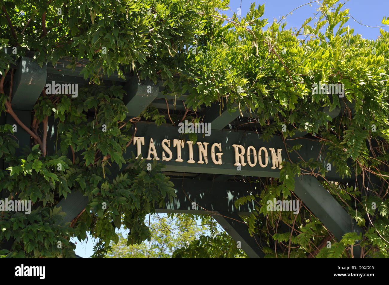 Assaggio del vino segno di camera a vigneto in California Foto Stock