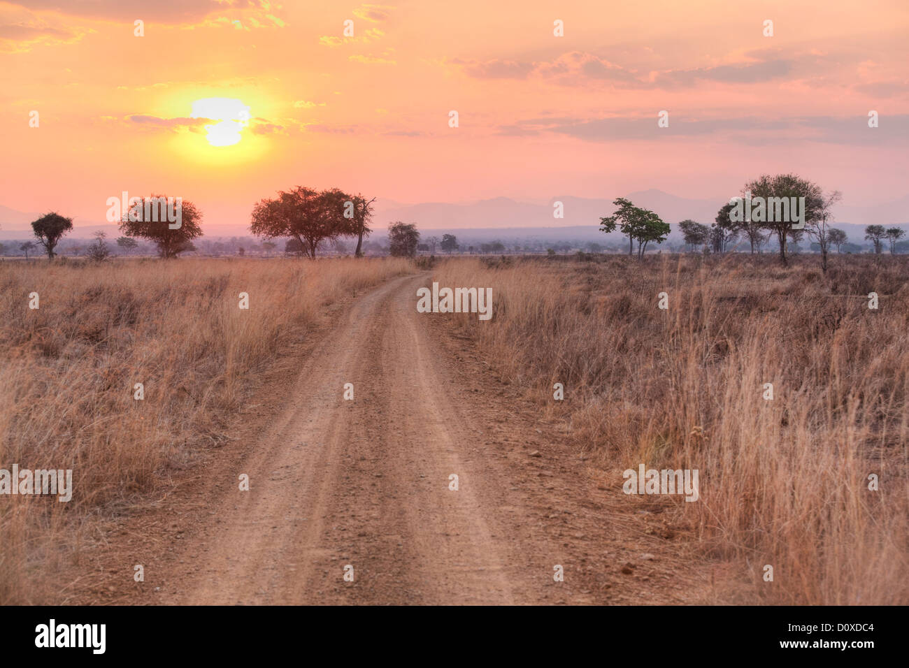 Savana Africana Foto Stock