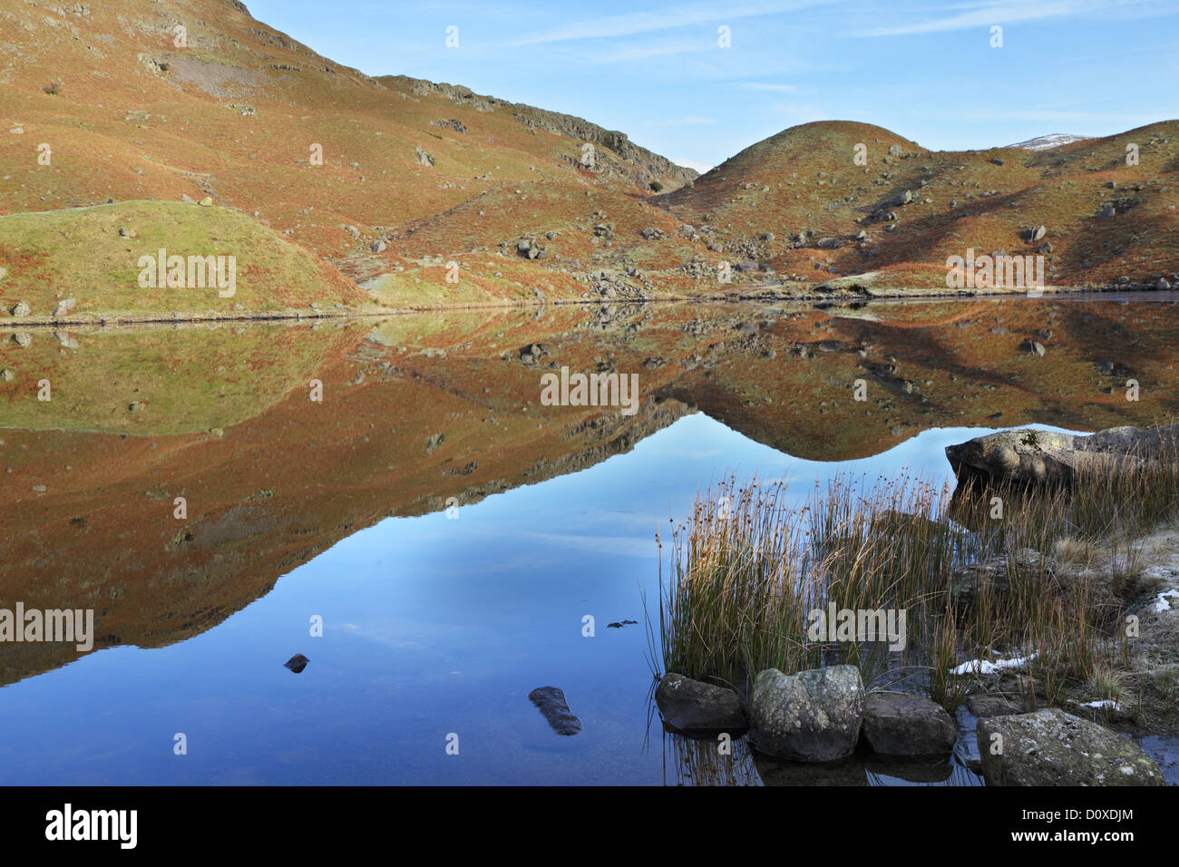 Riflessioni in Easedale Tarn Lake District inglese UK Foto Stock
