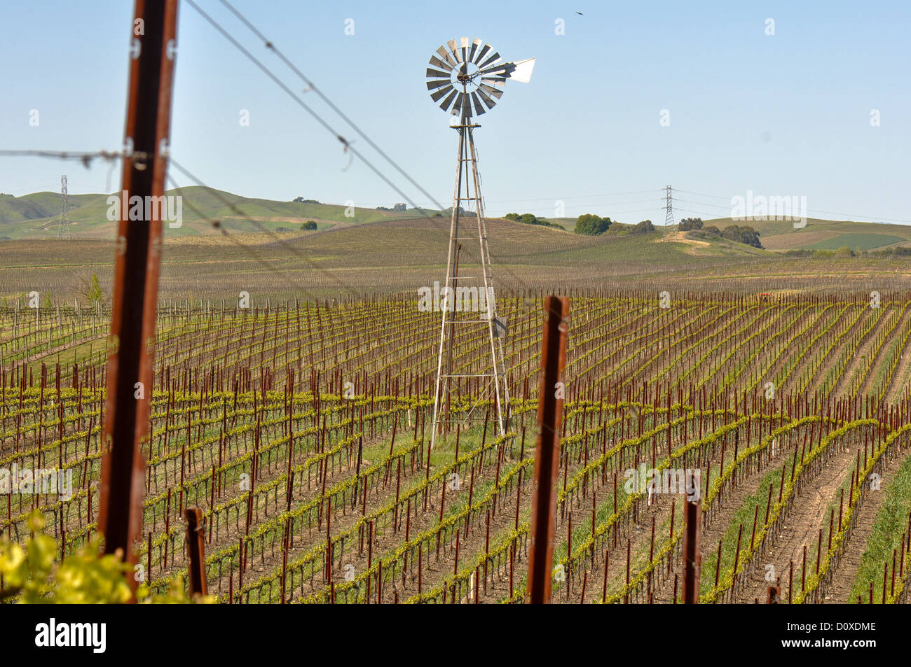 Napa California vigneto nel paese del vino con un mulino a vento Foto Stock