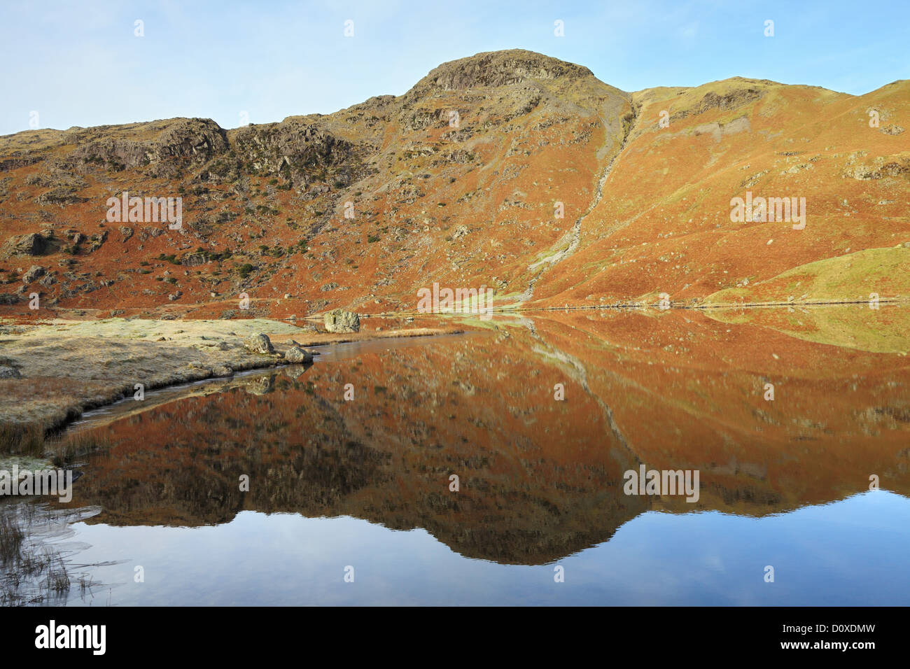 Riflessioni in Easedale Tarn Lake District inglese UK Foto Stock
