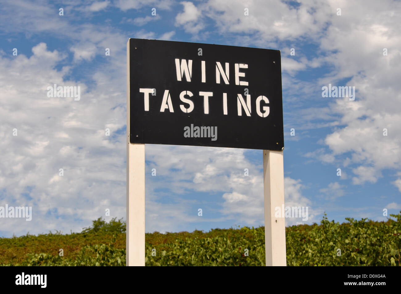 Degustazione di vino segno a vigneto in California con cielo blu Foto Stock
