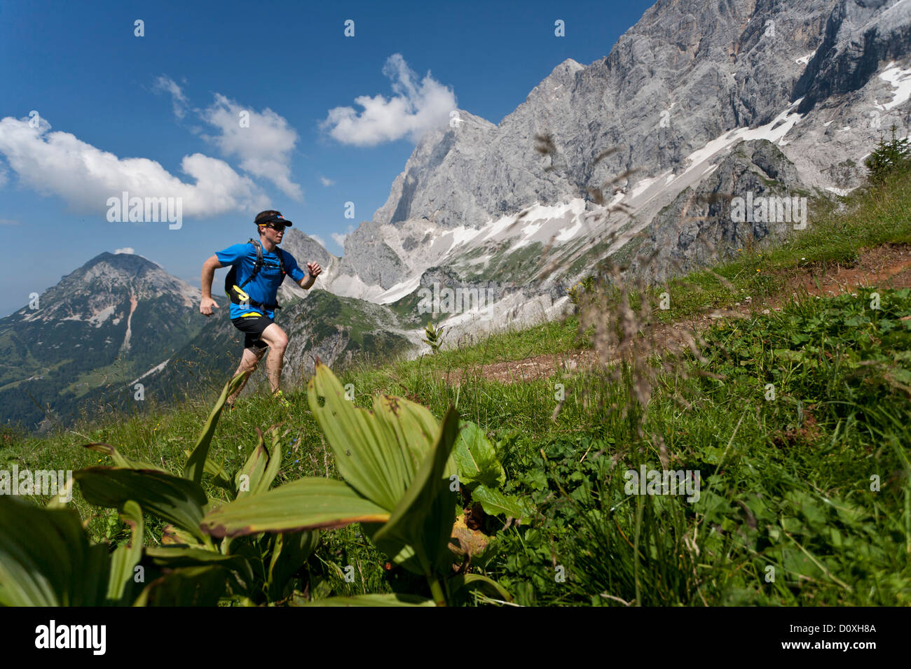 Trailrunning, trail running, Trail, Ramsau, Dachstein, Stiria, Austria, uomo precipitoso, ripida, correre, camminare, correre, montagna Foto Stock