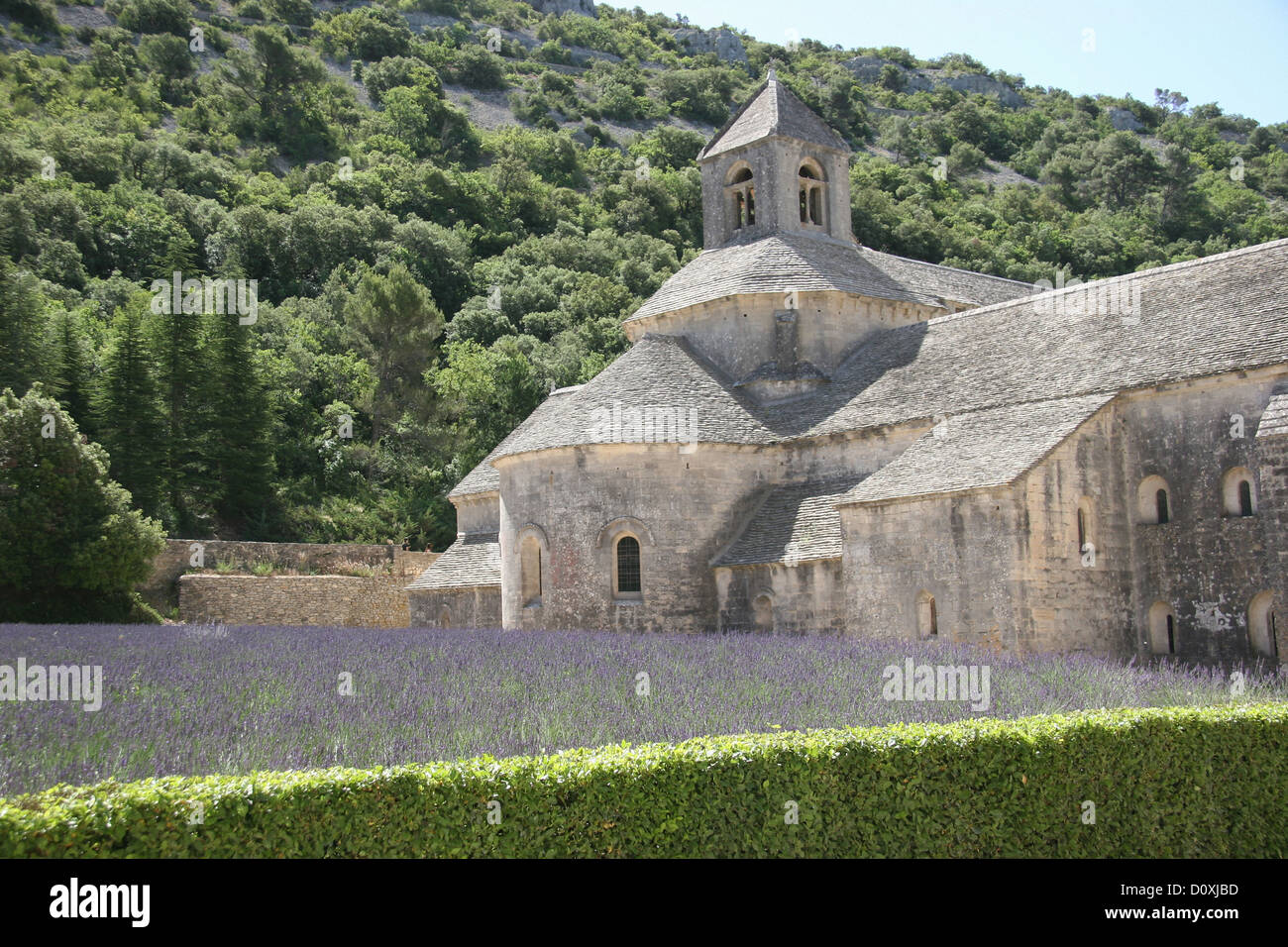 Francia, Europa, Provenza, l'Abbaye Notre-dame de Sénanque, Senanque, il Chiostro abbazia, lavanda, campo di lavanda Foto Stock