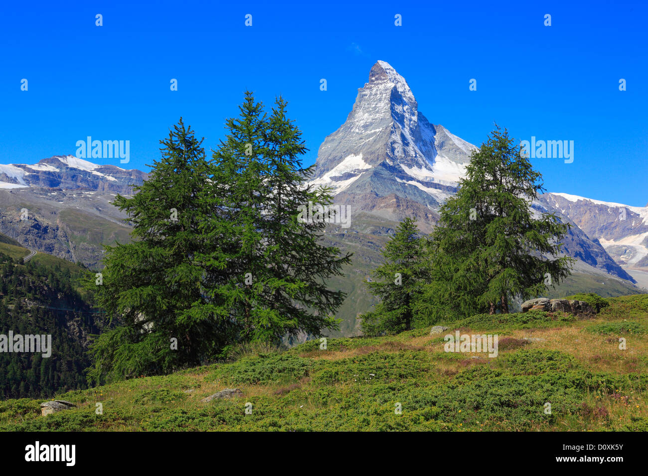 Alpi, panorama alpino, visualizzazione albero, mountain, montagne, panorama, il lago di montagna, alberi, Cliff, rock, summit, scenario, larice, lar Foto Stock