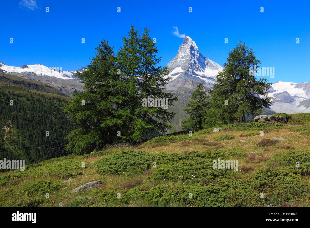 Alpi, panorama alpino, visualizzazione albero, mountain, montagne, panorama, il lago di montagna, alberi, Cliff, rock, summit, scenario, larice, lar Foto Stock