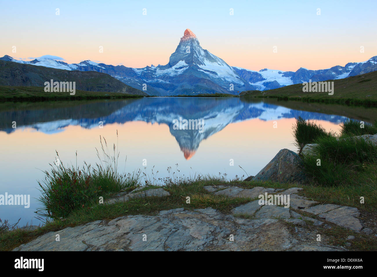 Alpi, panorama alpino, visualizzazione albero, mountain, montagne, panorama, il lago di montagna, alberi, Cliff, rock, summit, scenario, Cervino Foto Stock