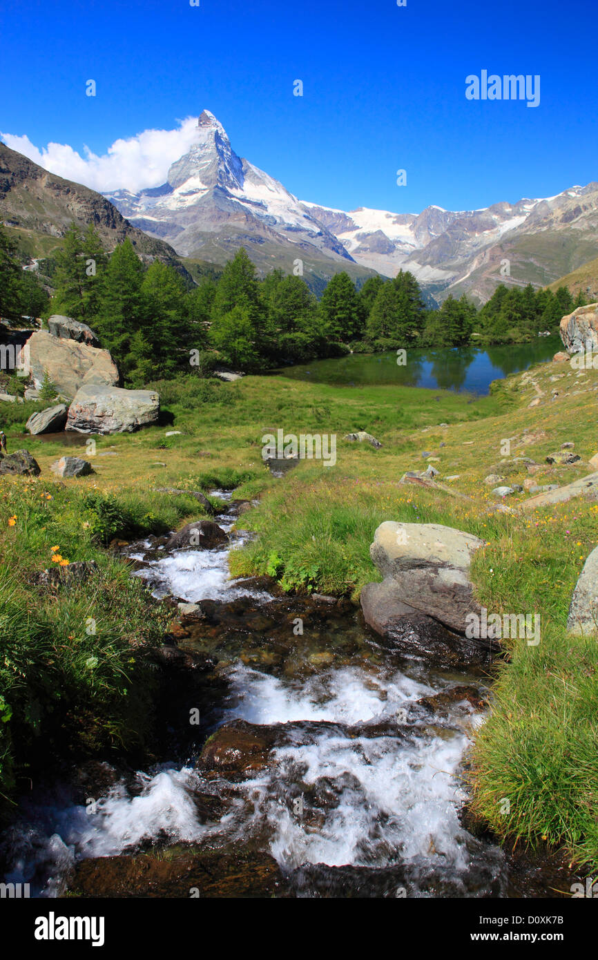 Alpi, panorama alpino, visualizzazione albero, mountain, montagne, panorama, il lago di montagna, alberi, Cliff, rock, summit, Grindjisee, scenario Foto Stock