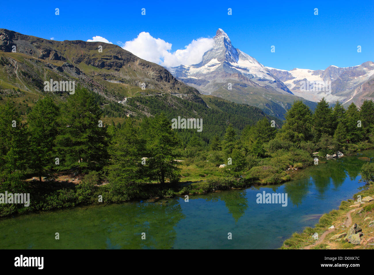 Alpi, panorama alpino, visualizzazione albero, mountain, montagne, panorama, il lago di montagna, alberi, Cliff, rock, summit, Grindjisee, scenario Foto Stock