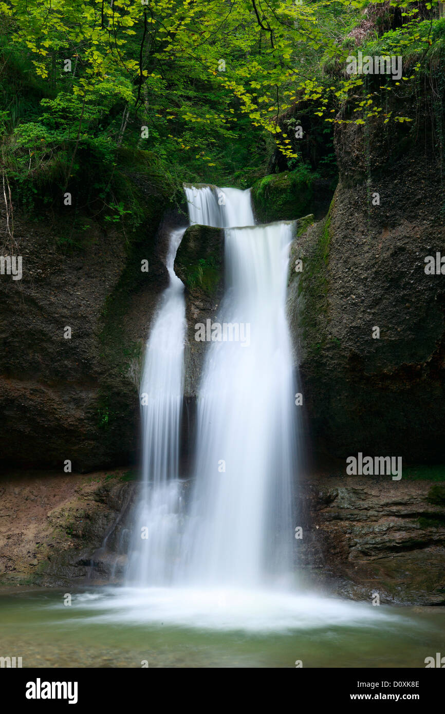 Aa, Aa brook, Brook, Brook bed, movimento, fiume, flusso, Kempten, Kemptner orrido, Kemptnertobel, MOSS, Svizzera, Europa, pietra Foto Stock