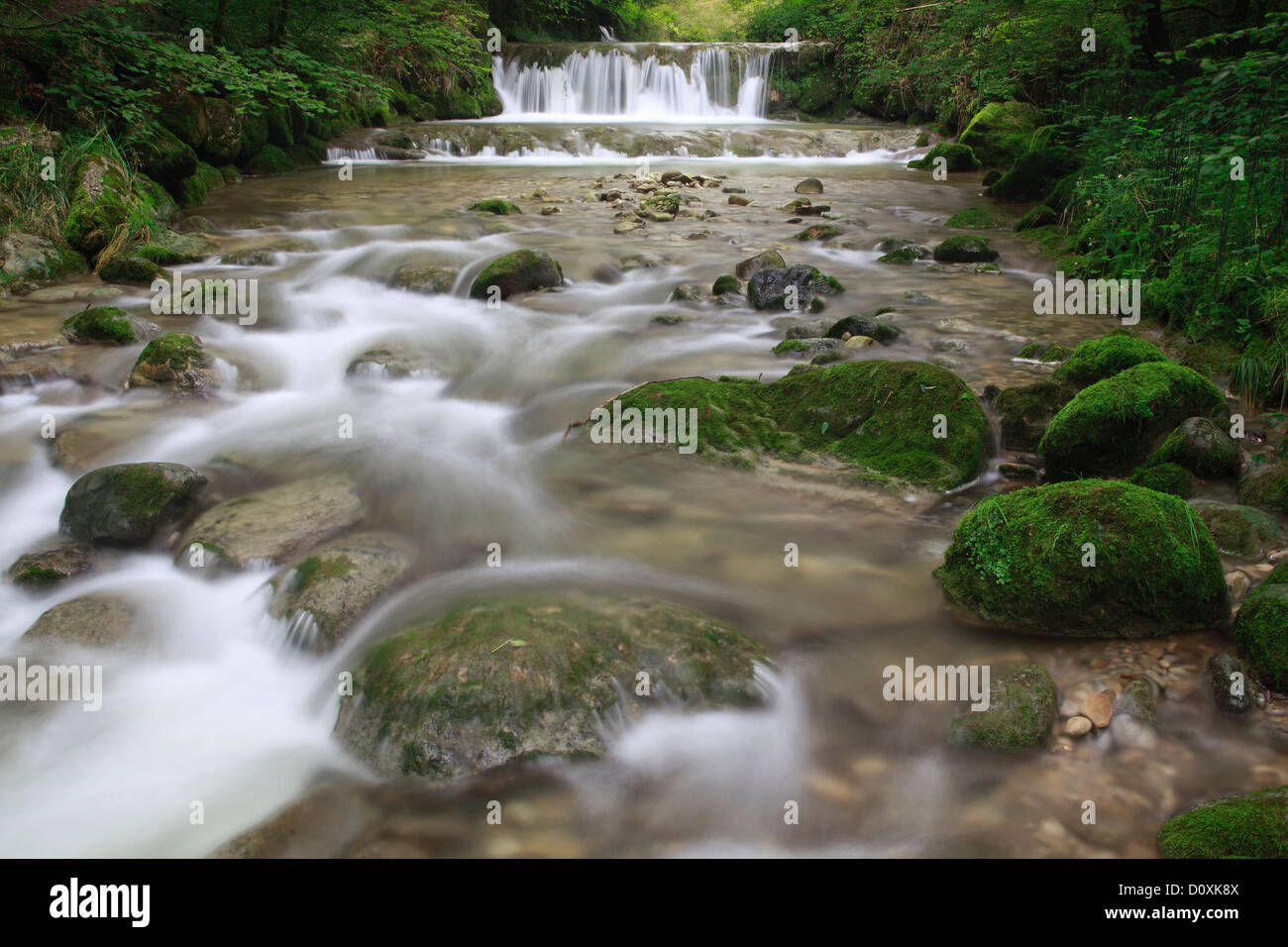 Aa, Aa brook, Brook, Brook bed, movimento, fiume, flusso, Kempten, Kemptner orrido, Kemptnertobel, MOSS, Svizzera, Europa, pietra Foto Stock