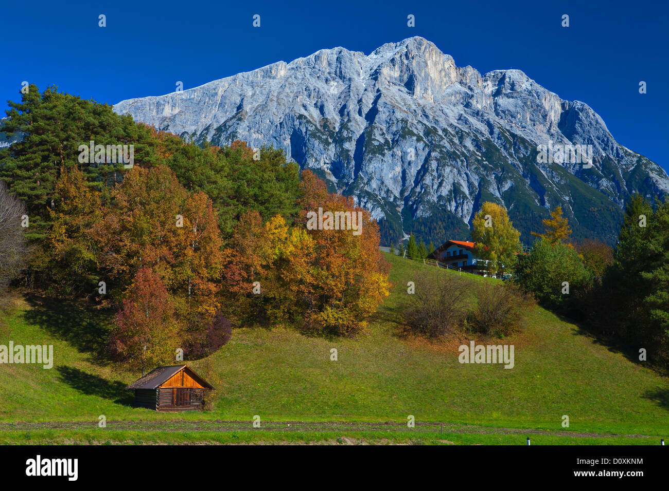 Austria, Europa, Tirolo Tirolo, Mieming, catena, altopiano, Wildermieming, autunno, Stadel shark, mountain summit, peak mountainto Foto Stock