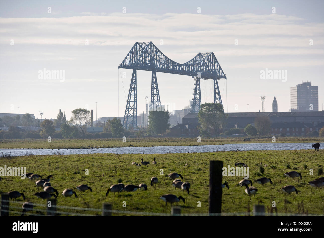 Vista del Tees Transporter Bridge, Middlesbrough Inghilterra Foto Stock