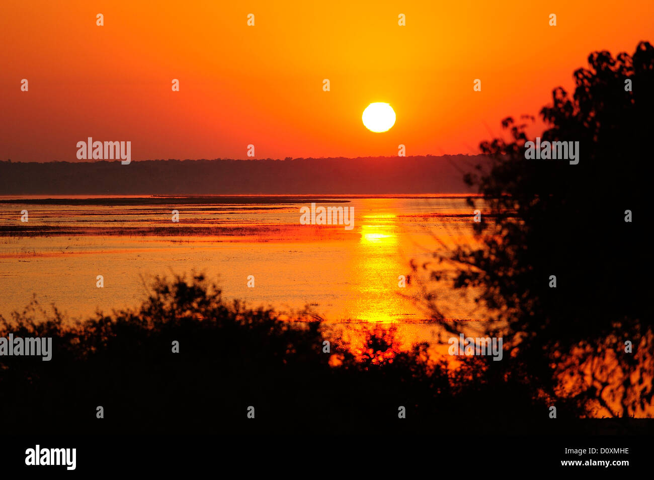 Africa, Botswana, Chobe National Park, sunrise, Chobe, sul fiume rosso, sun Foto Stock