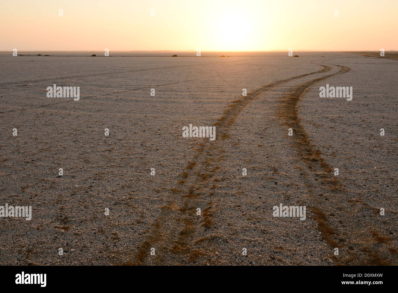 Africa, Henties Bay, Namibia, Skeleton Coast, auto tracce, curva, deserto, guida, crepuscolo, orizzontale, paesaggio, sabbia, tramonto, su Foto Stock
