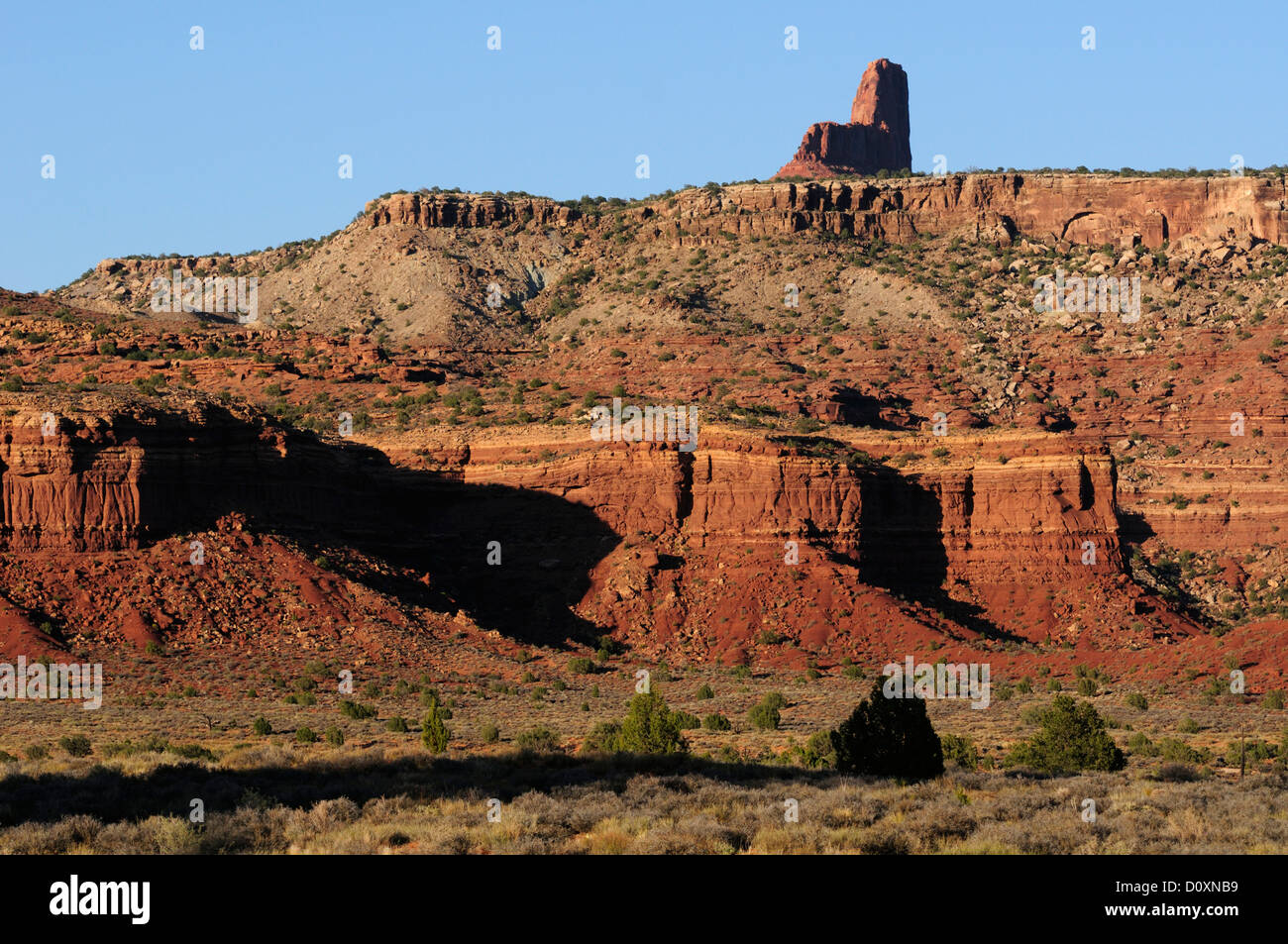 America, Stati Uniti d'America, Stati Uniti, quattro angoli, Colorado Plateau, Utah, Red Rocks, arenaria, deserto Foto Stock