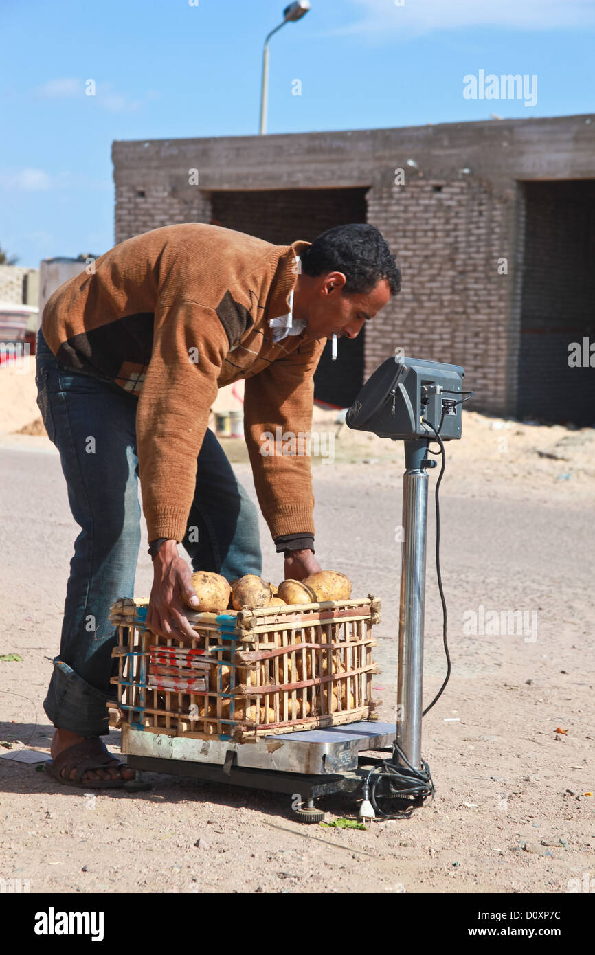 Egitto - febbraio 2: uomo del peso di patate su strada il 2 febbraio 2011 a Dahab, Egitto. Foto Stock