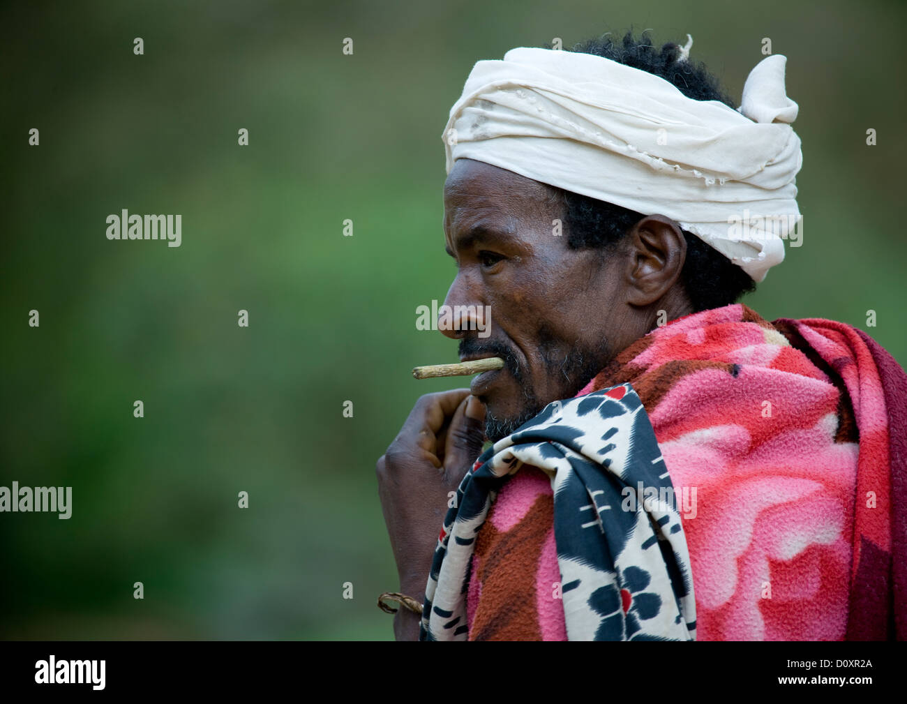 Ritratto di una tribù Borana uomo masticare un bastone, Yabello, Valle dell'Omo, Etiopia Foto Stock