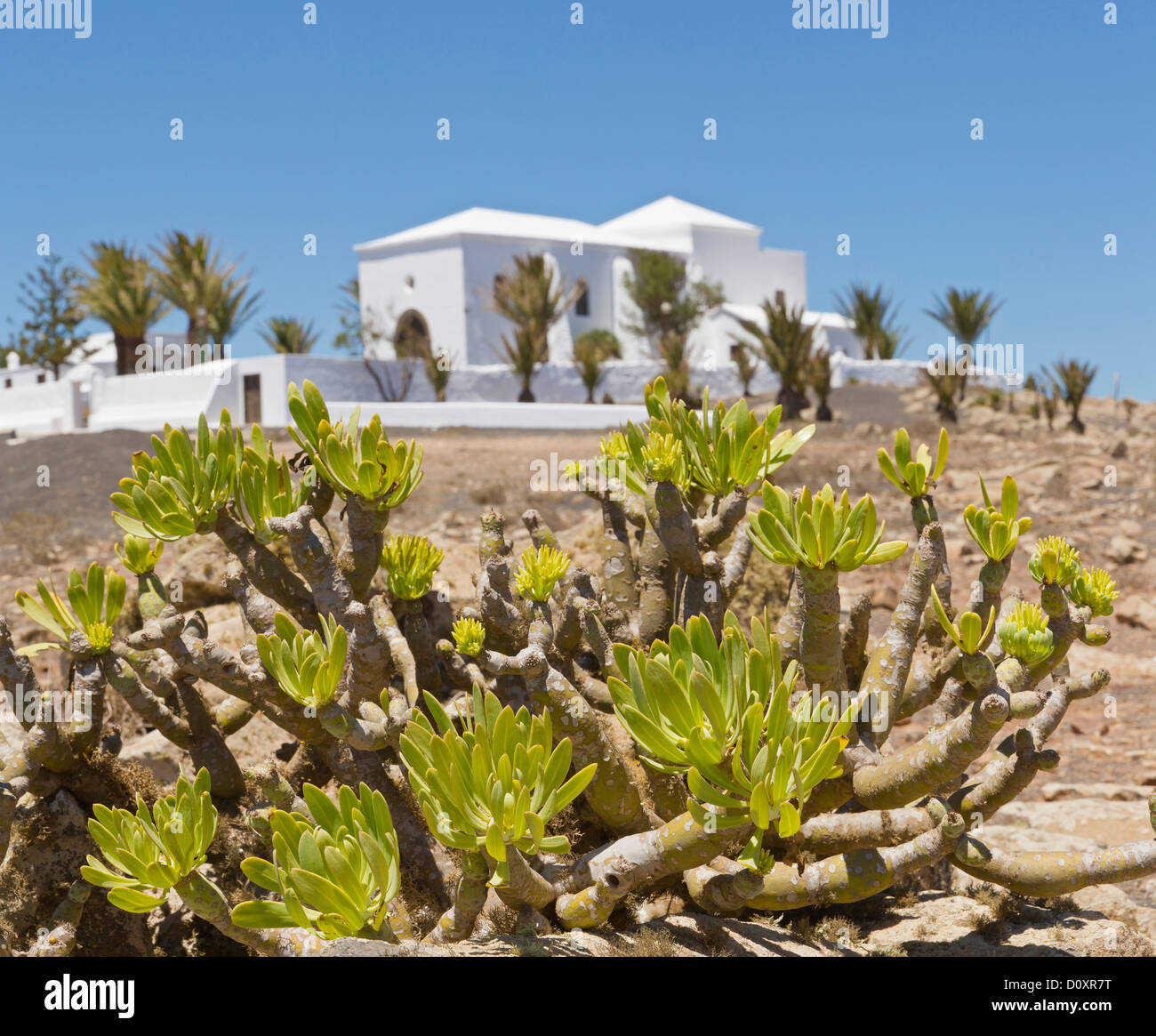 Spagna, Lanzarote, Los Valles, Ermita de las Nieves, chiesa, il monastero, fiori, estate, Isole Canarie, Foto Stock