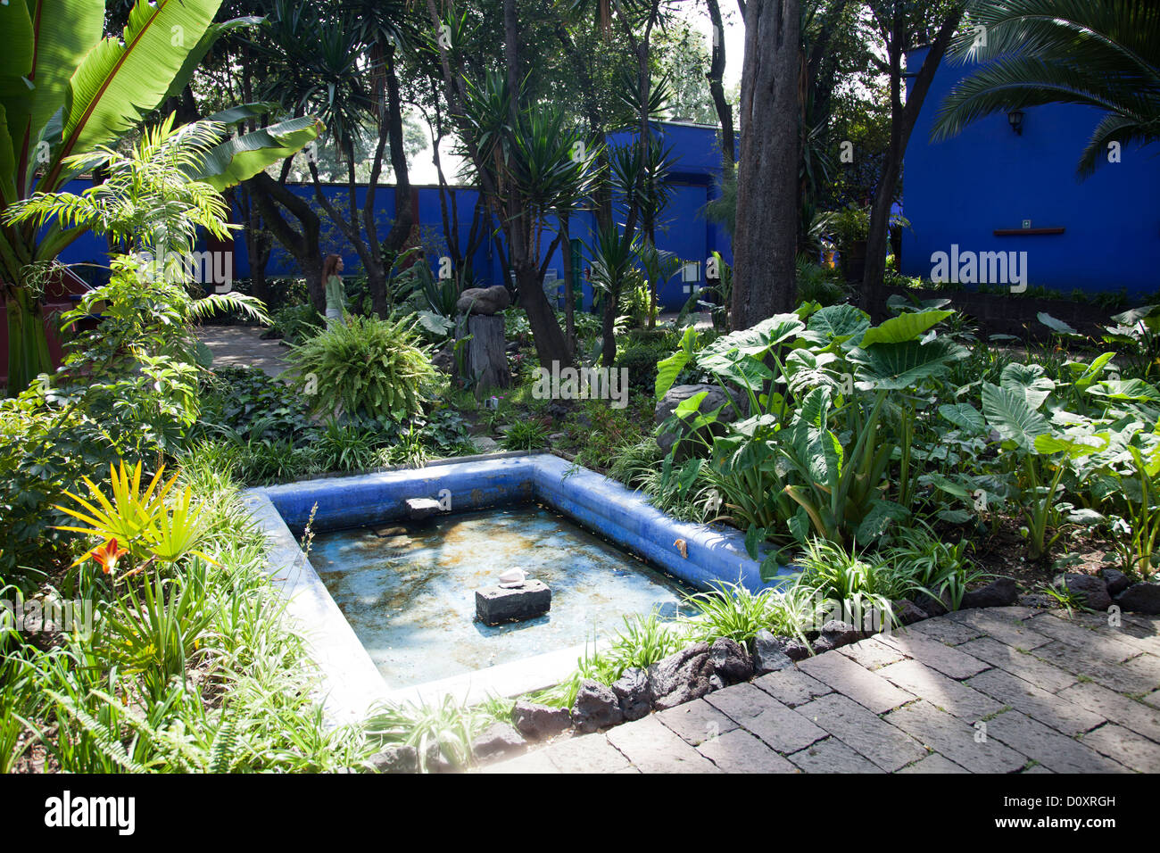 Museo Frida Kahlo giardini con posti a sedere in Coyoacan in Città del Messico DF Foto Stock