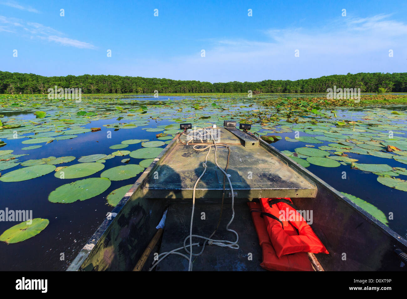 Caddo Lake, Texas, Stati Uniti d'America Foto Stock