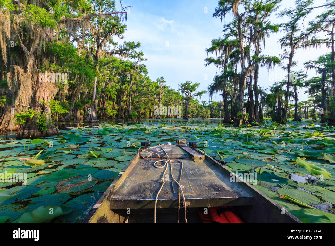 Caddo Lake, Texas, Stati Uniti d'America Foto Stock